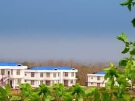National Institute of Technology Nagaland