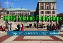 Doctoral Scholarships – 2019 in Maynooth University, Ireland EMBO Long-Term Fellowships by European Research Organisation