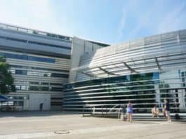 PhD/Postdoc positions 2019 at the LMU Munich, Germany