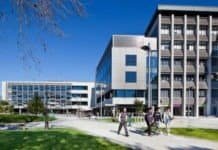 Doctoral Scholarship 2025, University of Auckland, New Zealand Postdoctoral Fellow Position in New Zealand, Auckland University