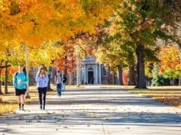 Postdoctoral Associate Position in USA, University of Arkansas
