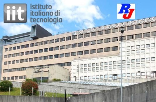 Postdoctoral Position in Nanophotonics, Istituto Italiano di Tecnologia (IIT), Italy Post-Doc position 2019 in Italy, Istituto Italiano di Tecnologia