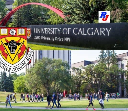 Various Postdoc Fellowship in Canada, University of Calgary Postdoctoral Scholar Position in University of Calgary, Canada