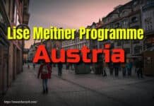 Malaysia International Scholarship 2019 in Malaysian Top Universities Postdoctoral Positions at MILYON France- Apply by 12 January 2020