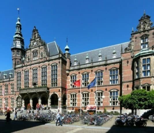 PhD Position – Mechanobiology, University of Groningen, Netherlands Study Abroad in the Netherlands, Postdoc in University of Groningen