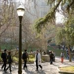 Post-Doctoral Fellow in Paleontology & Functional Diversity at University of Colorado Anschutz, USA President’s Postdoctoral Fellowship Program, University of California, USA