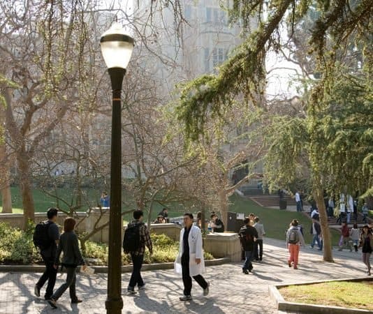 Research Staff Member in Machine Learning for Neural Circuit Modeling, Episteme, California President’s Postdoctoral Fellowship Program, University of California, USA