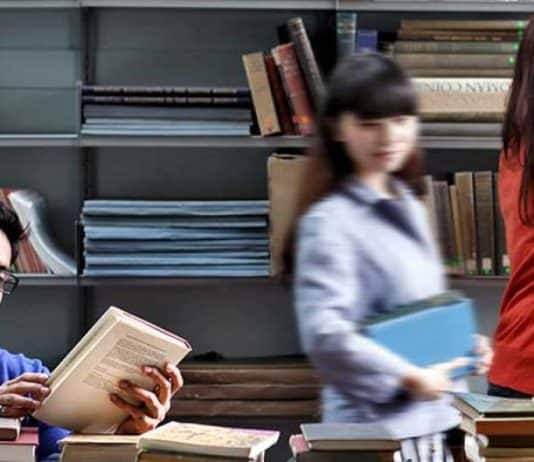 Doctoral Student in Biotechnology Research, Ruđer Bošković Institute, Croatia Edinburgh Global Research Scholarship in University of Edinburgh, UK