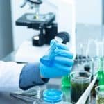RUSA Postdoctoral Fellowship (Rs. 75,000 / month) in Andhra University University of Calcutta, India invites application for RA Position at University of Calcutta from eligible and interested candidates