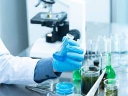 University of Calcutta, India invites application for RA Position at University of Calcutta from eligible and interested candidates