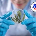 Research Positions at Kasturba Medical College, Manipal, , Karnataka, India Project Scientist at NCSCM - Apply by 15 October 2020