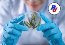 02 Post-Doctoral Candidates Vacancy at Qingdao Institute of Bioenergy and Bioprocess Technology, China Project Scientist at NCSCM - Apply by 15 October 2020