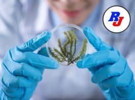 Project Scientist at NCSCM - Apply by 15 October 2020