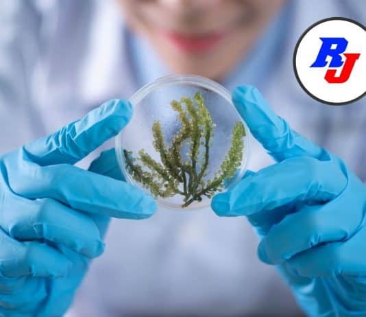 Research Scientist Jobs Bangalore-InStem, Bangalore, India | Starting Basic Pay Rs. 1,44,200/- Project Scientist at NCSCM - Apply by 15 October 2020