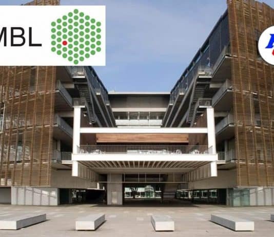 EMBL International PhD Programme in Europe Postdoctoral Fellowship Position at EMBL, Hinxton, UK