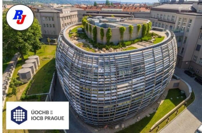 Postdoctoral Research IOCB Prague, Czech Republic
