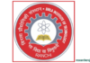 Faculty (Regular/Contract) Position in BIT Meshra, Ranchi, India Recruitment of Faculty Members (Permanent) at BIT Mesra