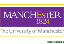 Dame Kathleen Ollerenshaw Fellowships (2025), University of Manchester, UK Research Associate in Synthetic Chemistry, University of Manchester, UK