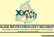 Scientist Positions at PBTI, Punjab Biotechnology Incubator, Punjab, India Scientist jobs in PBTI