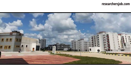 Regular Faculty Positions in IIIT Ranchi, Jharkhand, India Temporary Faculty Posts (Walk-in-interview) in IIIT Ranchi, India